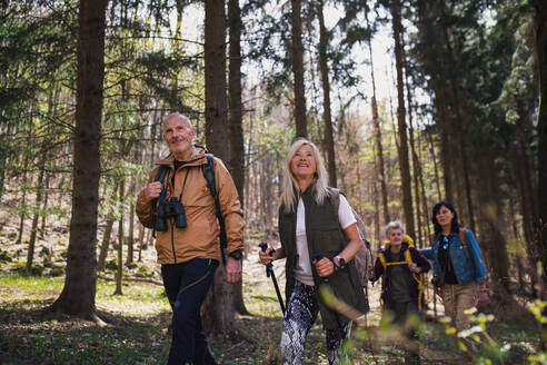 Porträt einer Gruppe von Senioren Wanderer im Freien im Wald in der Natur, zu Fuß. - HPIF05474
