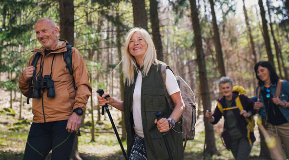 Portrait of group of seniors hikers outdoors in forest in nature, walking. - HPIF05475