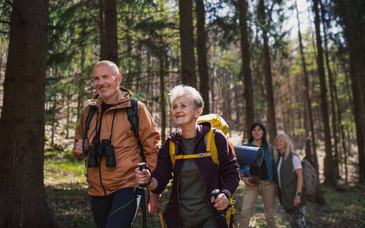 Porträt einer Gruppe von Senioren Wanderer im Freien im Wald in der Natur, zu Fuß. - HPIF05476