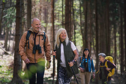 Portrait of group of seniors hikers outdoors in forest in nature, walking. - HPIF05477