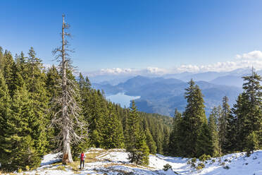 Deutschland, Bayern, Wanderin mit Blick auf den Walchensee vom Gipfel des Estergebirges aus gesehen - FOF13332