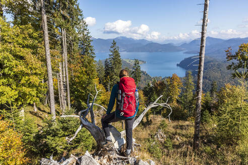 Germany, Bavaria, Female hiker looking toward Walchensee Lake seen from summit in Ester Mountains - FOF13333
