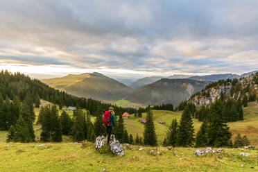 Germany, Bavaria, Female hiker in Bavarian Alps - FOF13345