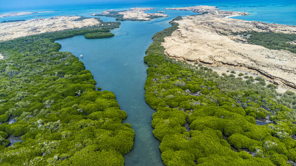 Saudi Arabia, Jazan Province, Aerial view of mangrove forest in Farasan Islands archipelago - RUNF04862