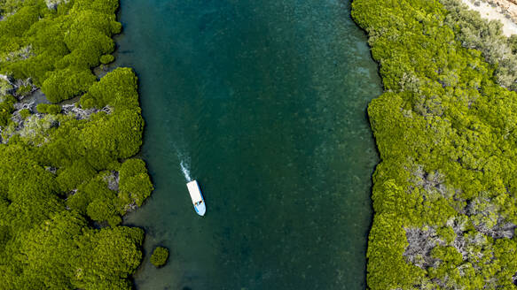 Saudi Arabia, Jazan Province, Aerial view of boat sailing through mangrove forest in Farasan Islands archipelago - RUNF04863