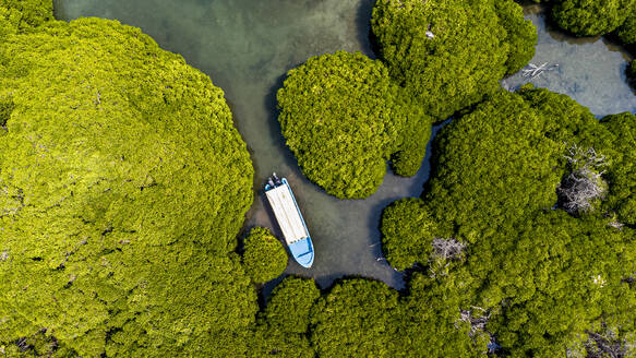 Saudi-Arabien, Provinz Jazan, Luftaufnahme eines Bootes, das durch einen Mangrovenwald im Archipel der Farasan-Inseln fährt - RUNF04864