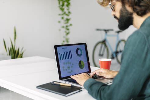 Freelancer analyzing bar graphs and pie chart on laptop in office - XLGF03143