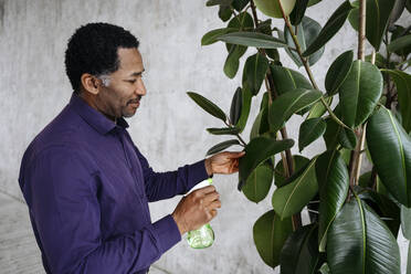 Mature man spraying water on plant leaves - EYAF02426