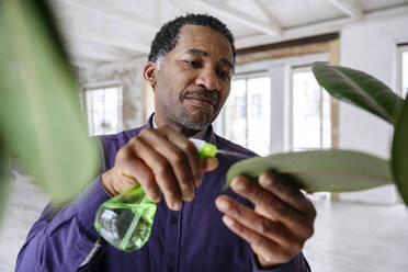 Man spraying water on leaf in office - EYAF02427