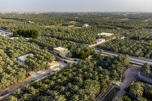 Saudi Arabia, Eastern Province, Al-Hofuf, Aerial view of Al-Ahsa Oasis - RUNF04877