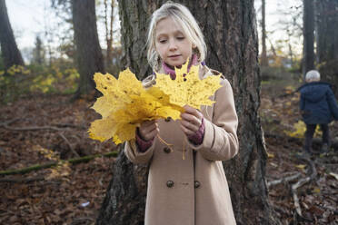 Blondes Mädchen mit gelbem Ahornblatt vor einem Baum stehend - NJAF00102