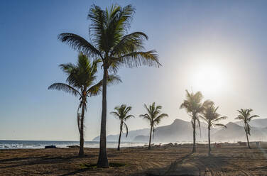 Oman, Dhofar, Salalah, Sonnenschein über Palmen am Strand von Mughsail - RUNF04909