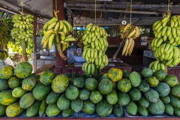 Oman, Dhofar, Salalah, Stall with fresh papayas and bananas - RUNF04924