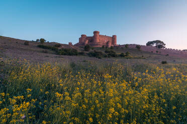 Hohe Burg mit Türmen von Belmonte, umgeben von gelb blühenden Blumen und grünem Gras im Feld unter strahlend blauem Himmel - ADSF42304