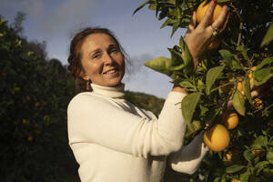 Lächelnder Bauer pflückt frische Orangen vom Baum im Obstgarten - NJAF00152