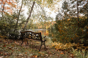 Alte Holzbank im Herbst Park in der Nähe ruhigen See umgeben von Bäumen in Kanada Wald - ADSF42376