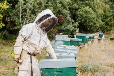 Seitenansicht männlicher Imker in Arbeitsschutzkleidung mit Maske bei der Kontrolle eines Bienenstocks während der Arbeit an einem Bienenstand auf dem Lande - ADSF42572