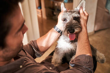 High angle of crop anonymous man sitting in armchair and caressing obedient Miniature Schnauzer in living room - ADSF42636