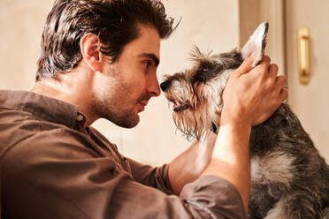 Hispanic man caressing obedient Miniature Schnauzer in living room looking at each other - ADSF42637