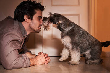 Side view of adult bearded male owner in shirt lying on floor and rubbing noses with adorable Miniature Schnauzer near white door - ADSF42639