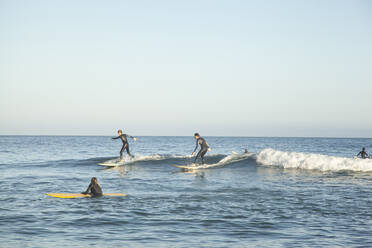 People surfing on sea at sunset - FOLF11929