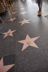 Stars on the Hollywood Walk of Fame, Los Angeles - FOLF11956