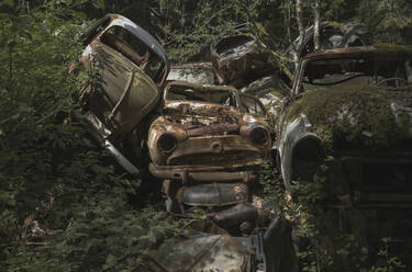 Stapel von verlassenen Autos im Wald - FOLF11986