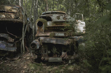 Stapel von verlassenen Autos im Wald - FOLF11987