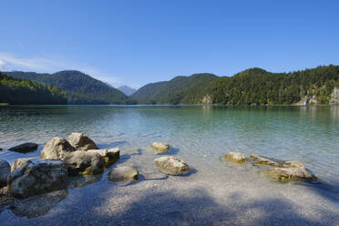 Deutschland, Bayern, Ufer des Alpsees mit bewaldeten Hügeln im Hintergrund - WIF04678