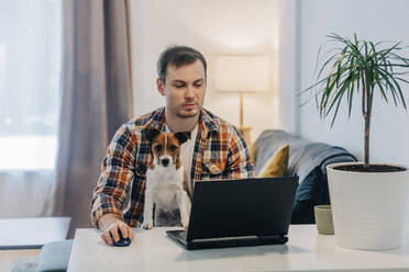 Freiberufler mit Hund arbeitet am Laptop am Schreibtisch zu Hause - VSNF00262