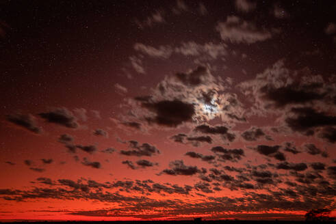 Wolken schweben gegen den roten Himmel in der Morgendämmerung - THGF00098