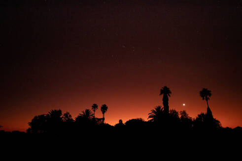 Silhouetten von Palmen stehen gegen roten Himmel in der Abenddämmerung - THGF00103