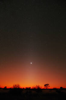 Sterne leuchten über der Savanne bei feuriger Morgendämmerung - THGF00107