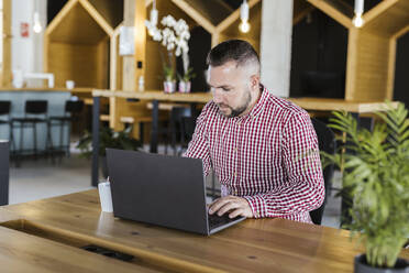 Geschäftsmann arbeitet am Laptop am Schreibtisch im Coworking-Büro - LJF02422