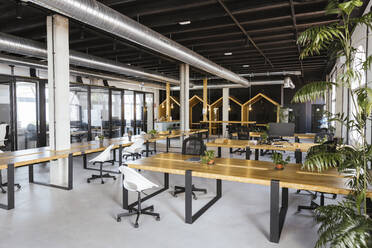 Interior of empty modern coworking office with desks and chairs - LJF02445