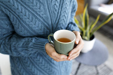 Hände einer Frau halten eine Tasse Tee zu Hause - TYF00588