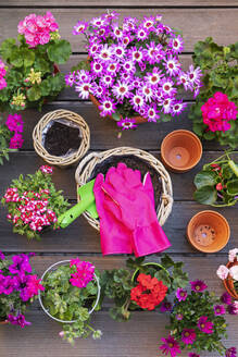 Verschiedene rosa Sommerblumen in Weidenkörben und Terrakotta-Blumentöpfen - GWF07692