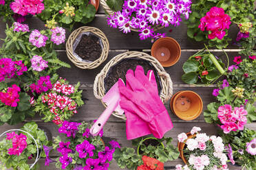 Verschiedene rosa Sommerblumen in Weidenkörben und Terrakotta-Blumentöpfen - GWF07693