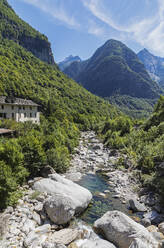 Schweiz, Kanton Tessin, Kleiner Bach, der im Sommer durch das Lavizzara-Tal fließt - GWF07697