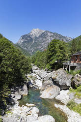 Schweiz, Kanton Tessin, Kleiner Bach, der im Sommer durch das Lavizzara-Tal fließt - GWF07698