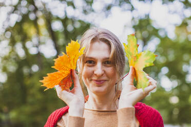 Smiling young woman holding maple leaves at park - OSF01292