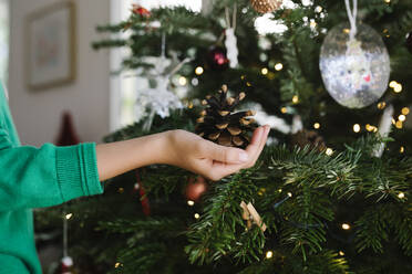 Girl holding pine cone near Christmas tree at home - TYF00630