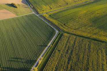 Deutschland, Baden-Württemberg, Luftaufnahme einer Landstraße, die sich zwischen Feldern erstreckt, im Frühling - RUEF03919