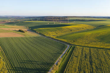 Germany, Baden-Wurttemberg, Aerial view of countryside fields in spring - RUEF03920