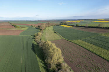 Deutschland, Bayern, Luftaufnahme von ländlichen Feldern im Frühling - RUEF03925