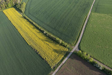 Germany, Bavaria, Aerial view of dirt road stretching between fields in spring - RUEF03926