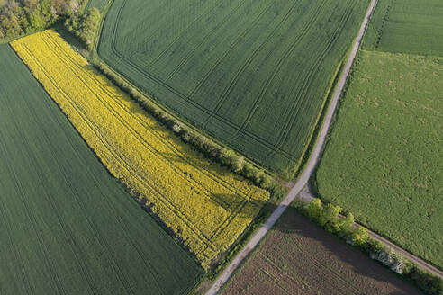 Deutschland, Bayern, Luftaufnahme eines unbefestigten Weges, der sich im Frühling zwischen Feldern erstreckt - RUEF03926