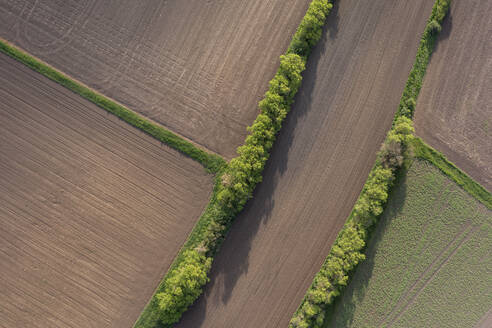 Luftaufnahme von Windschutzstreifen zum Schutz gepflügter Felder im Frühjahr - RUEF03927
