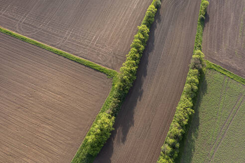 Luftaufnahme von Windschutzstreifen zum Schutz gepflügter Felder im Frühjahr - RUEF03928