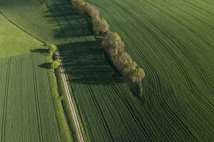 Deutschland, Bayern, Luftaufnahme von grünen Feldern im Frühling - RUEF03930